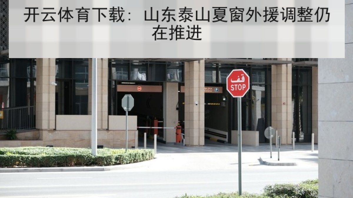 开云体育下载: 山东泰山夏窗外援调整仍在推进