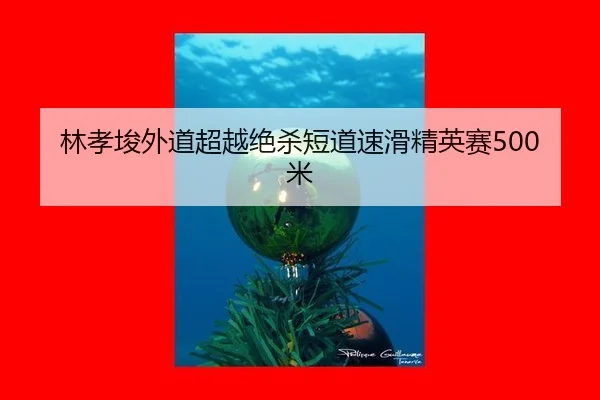 林孝埈外道超越绝杀短道速滑精英赛500米