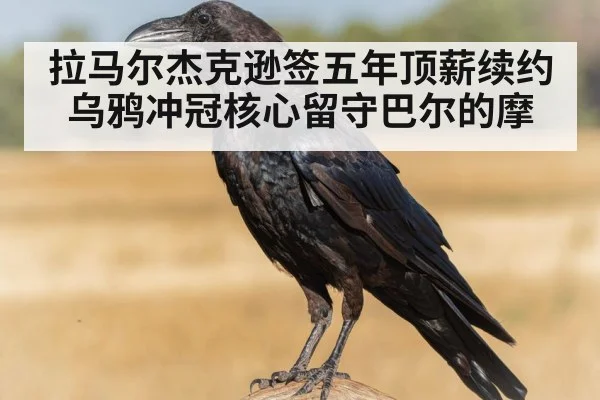 拉马尔杰克逊签五年顶薪续约乌鸦冲冠核心留守巴尔的摩