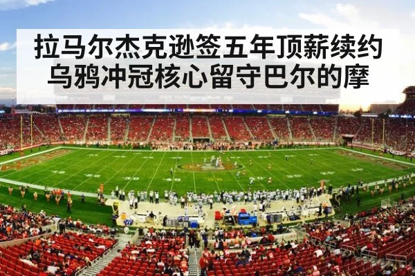 NFL football stadium action